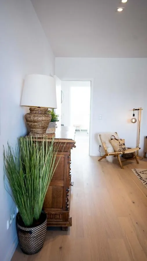 Chez Lileaula - Boho Duplex In Belle Epoque Apartman Ostende Belgium